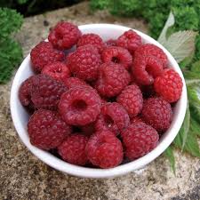Raspberry